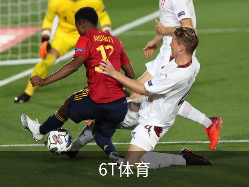 6T体育简介
